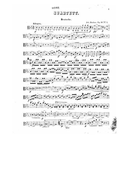 Viola