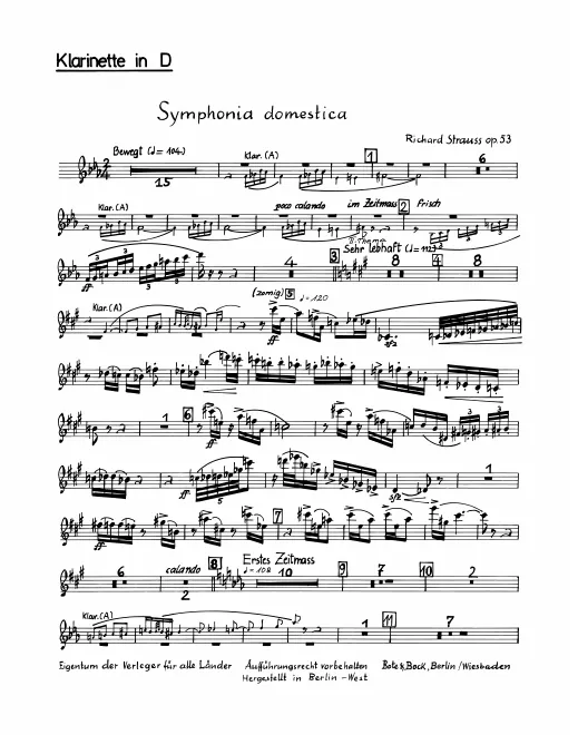Piccolo Clarinet (D)