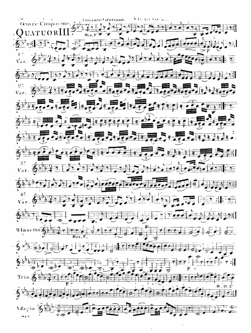 Violin 2