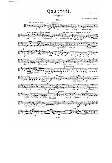 Viola