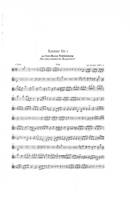 Violas