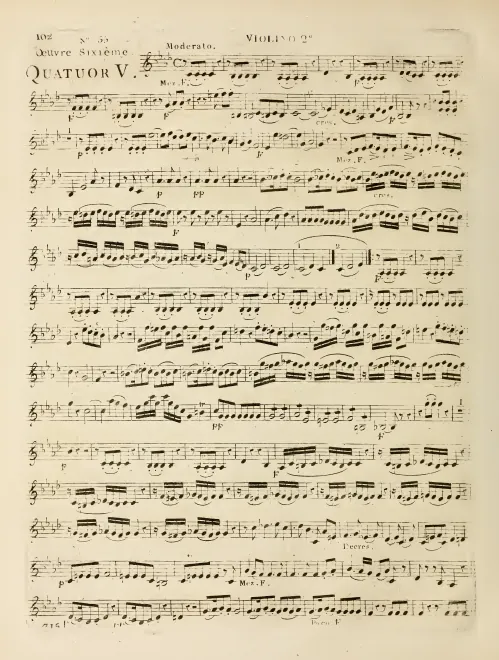 Violin 2