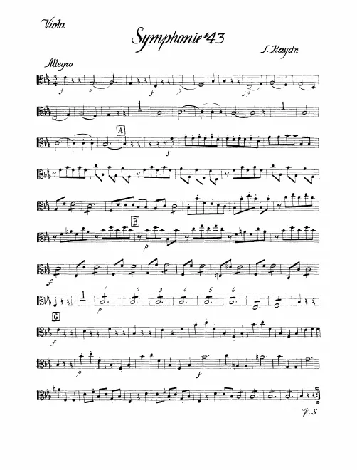 Violas