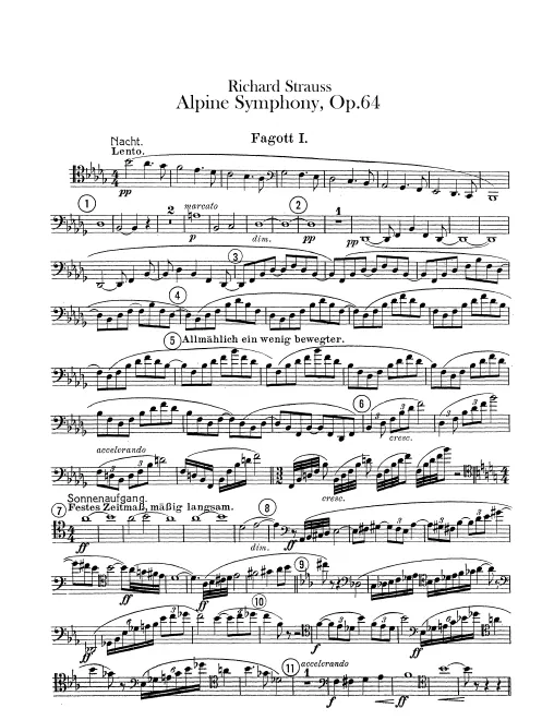 Bassoon 1
