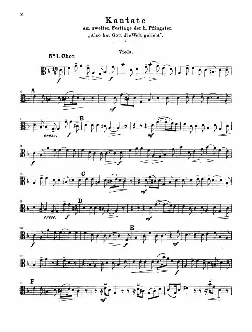 Violas