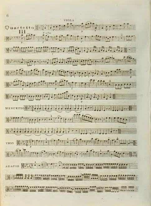 Viola
