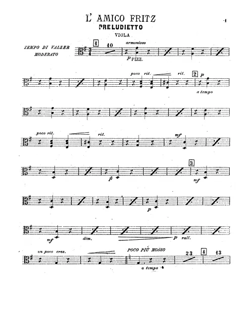 Violas