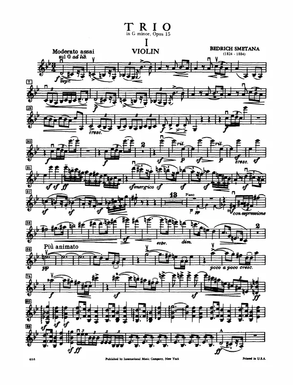 Violin