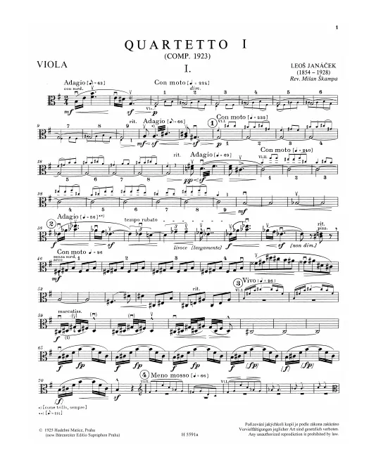 Viola