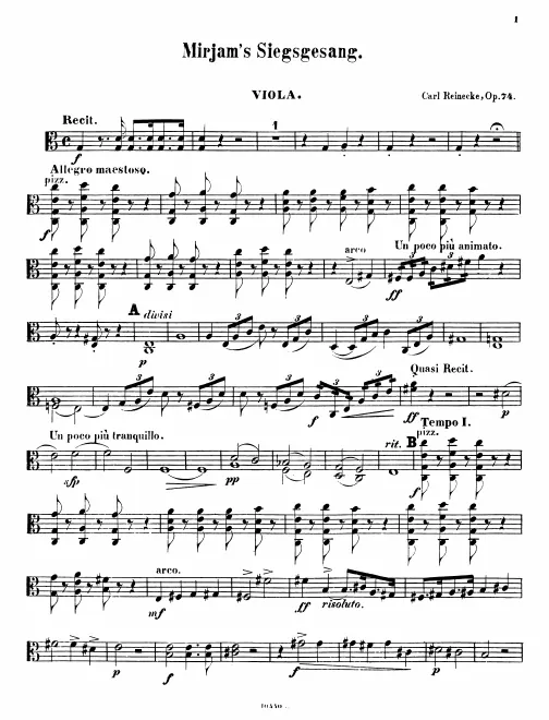 Violas
