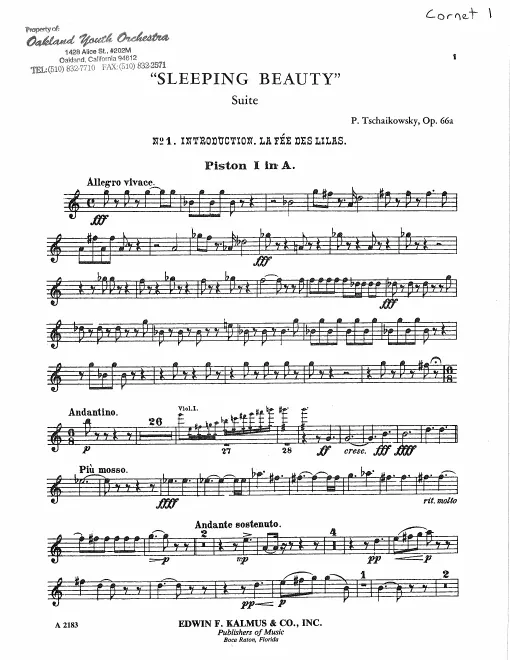 Cornet 1