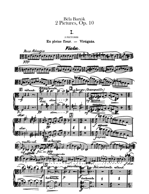 Violas