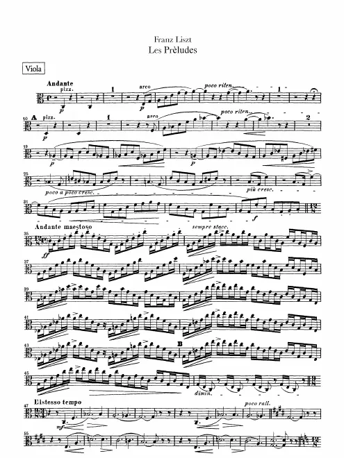 Violas