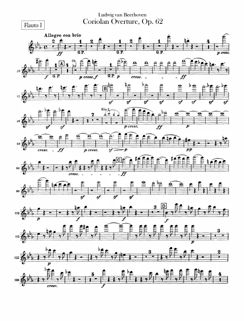 Flute 1/2