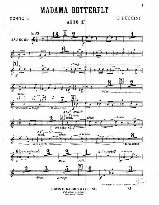 Horn 1