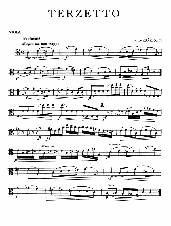 Viola