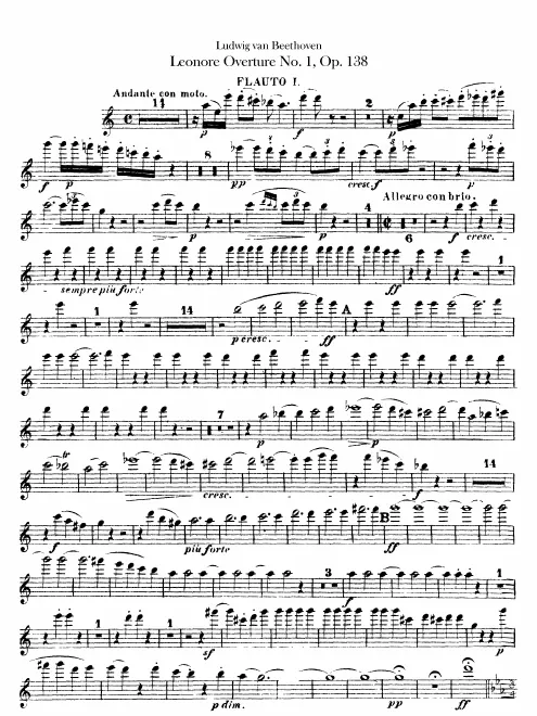 Flute 1, 2