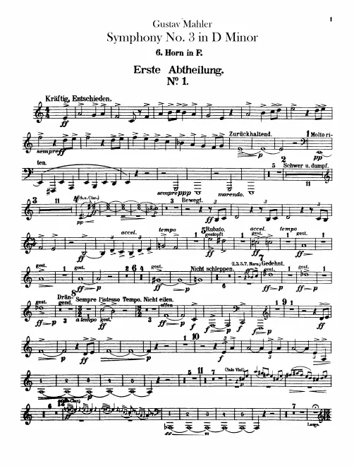 Horn 6 (F)