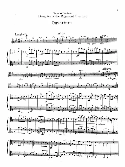Violas
