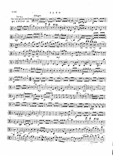 Viola