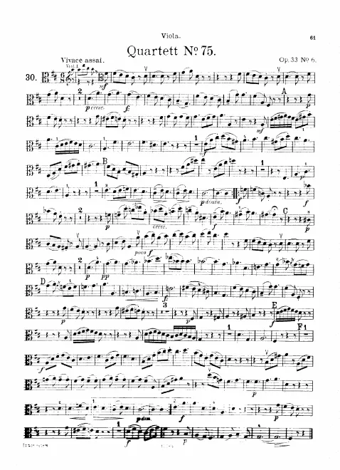 Viola