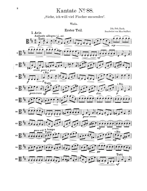 Violas