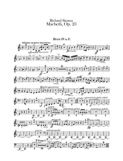 Horn 4 (F)