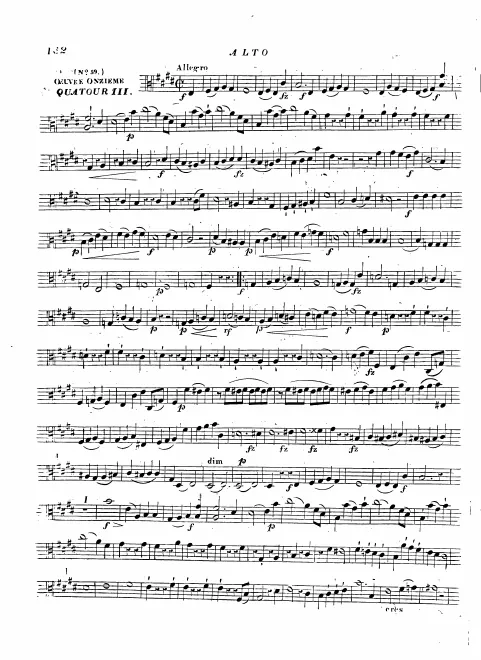 Viola