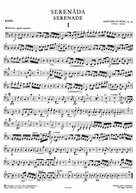 Double Bass