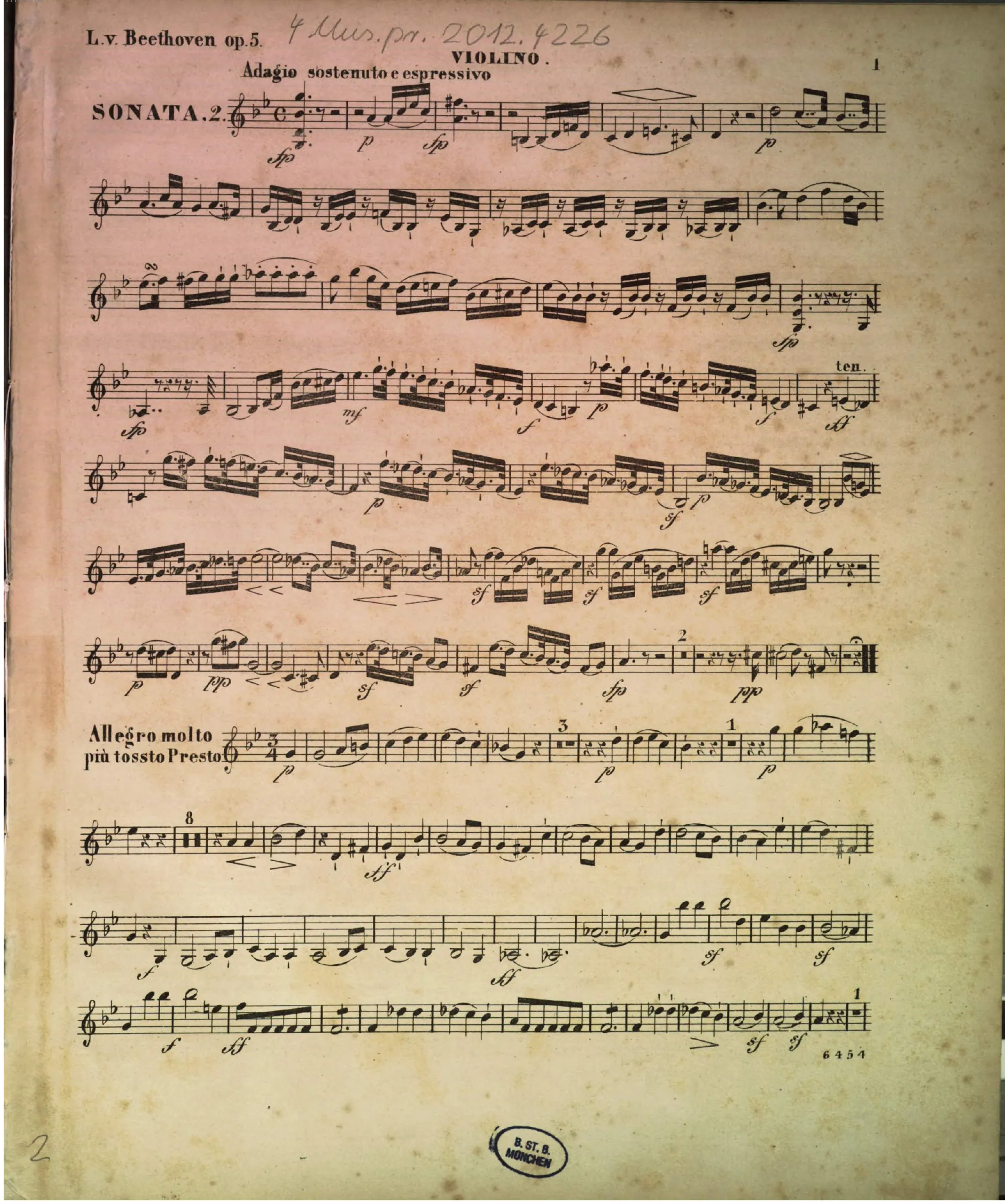 Violin