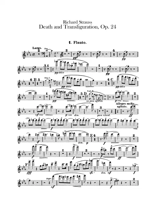 Flute 1