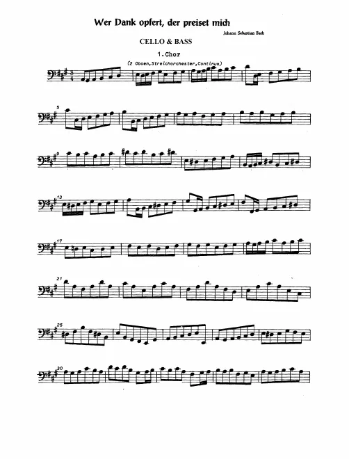 Continuo (Cellos/Basses)
