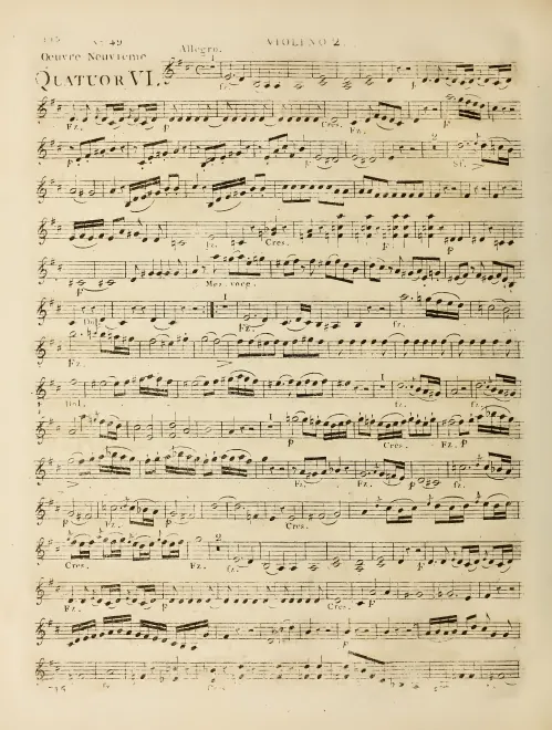 Violin 2