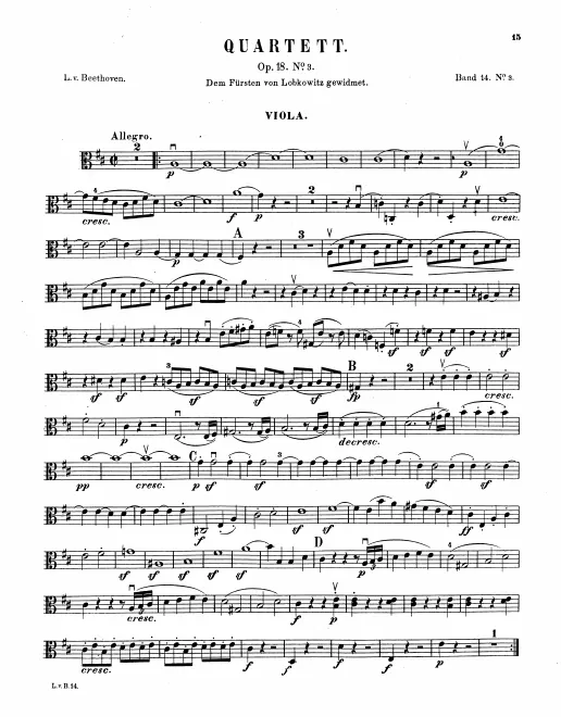 Viola