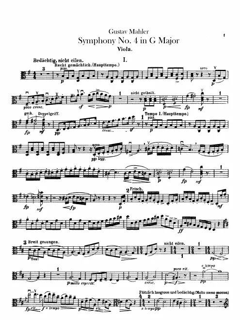 Violas