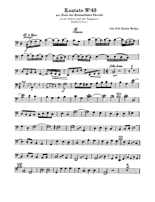 Basses