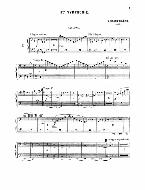 Bassoon 1/2