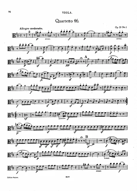 Viola