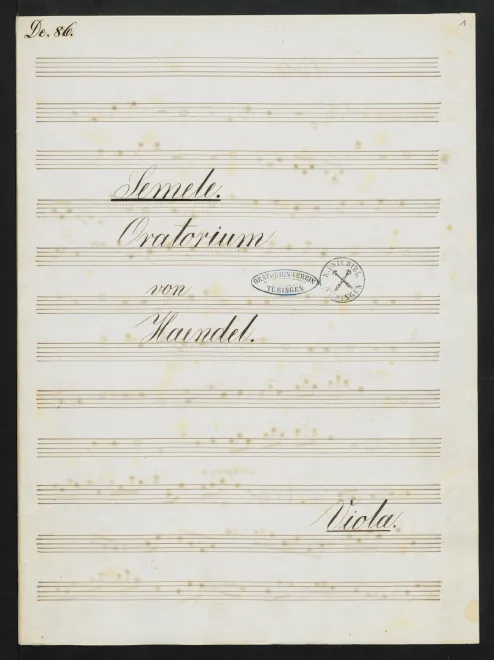 Violas