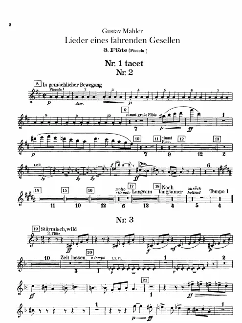 Flute 3/Piccolo
