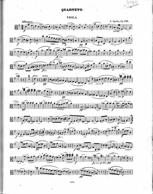 Viola