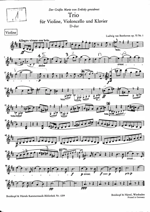 Violin