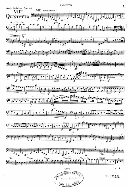 Bassoon