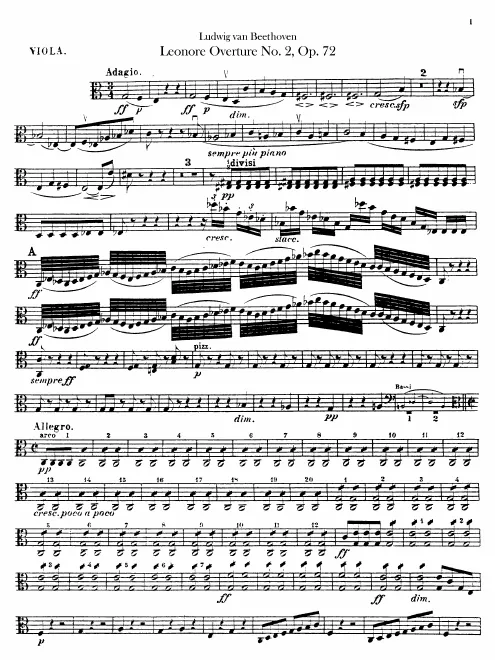 Violas