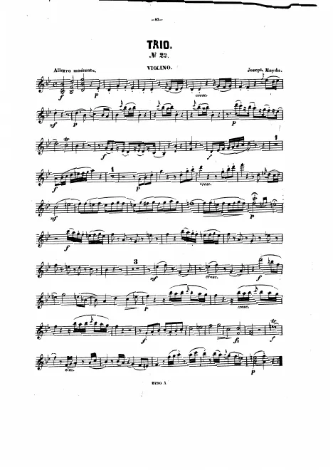 Violin