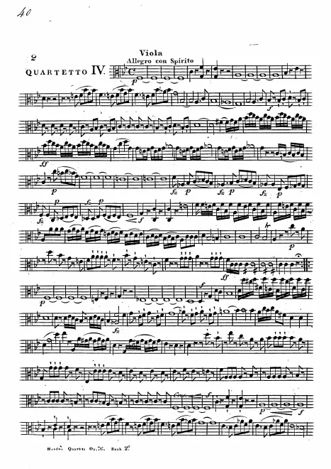 Viola