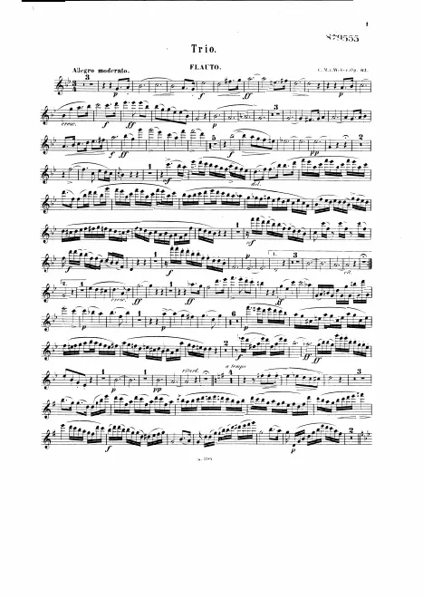 Flute