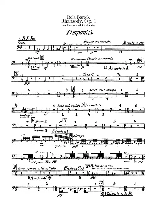 Timpani, Cymbals/Bass Drum/Tam-Tam, Small Drum/Triangle