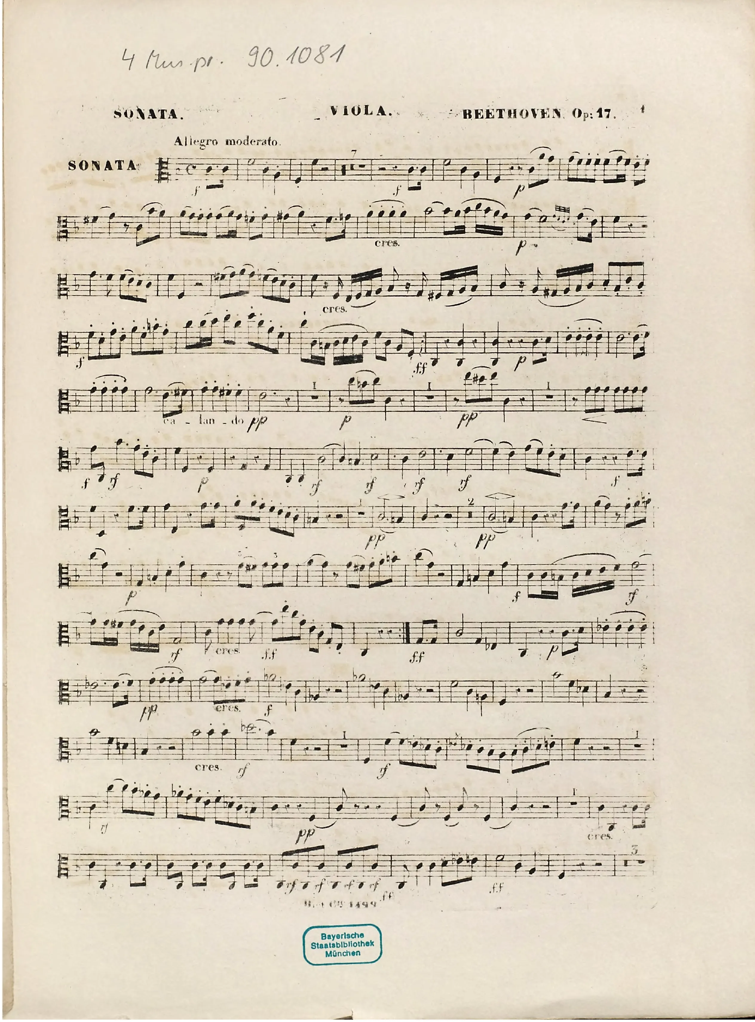 Viola