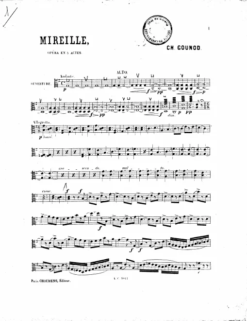 Violas